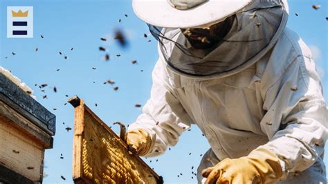 Texas among the Best States for Beekeeping—beating other states like Ohio